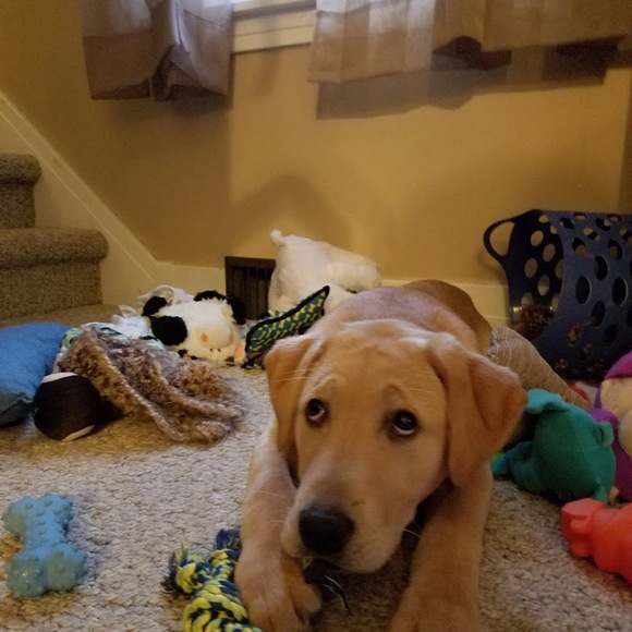 Meet your Posher, Julia - Picture 1 of 1